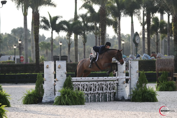 Julie Pickering Equestrian