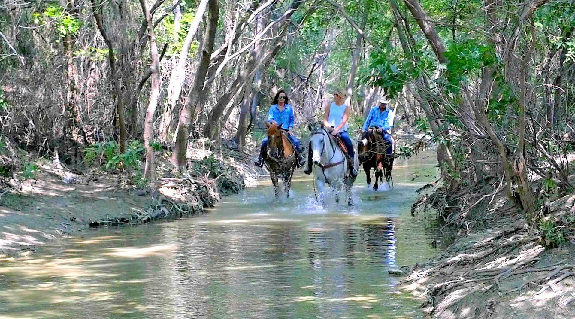 Benbrook Stables