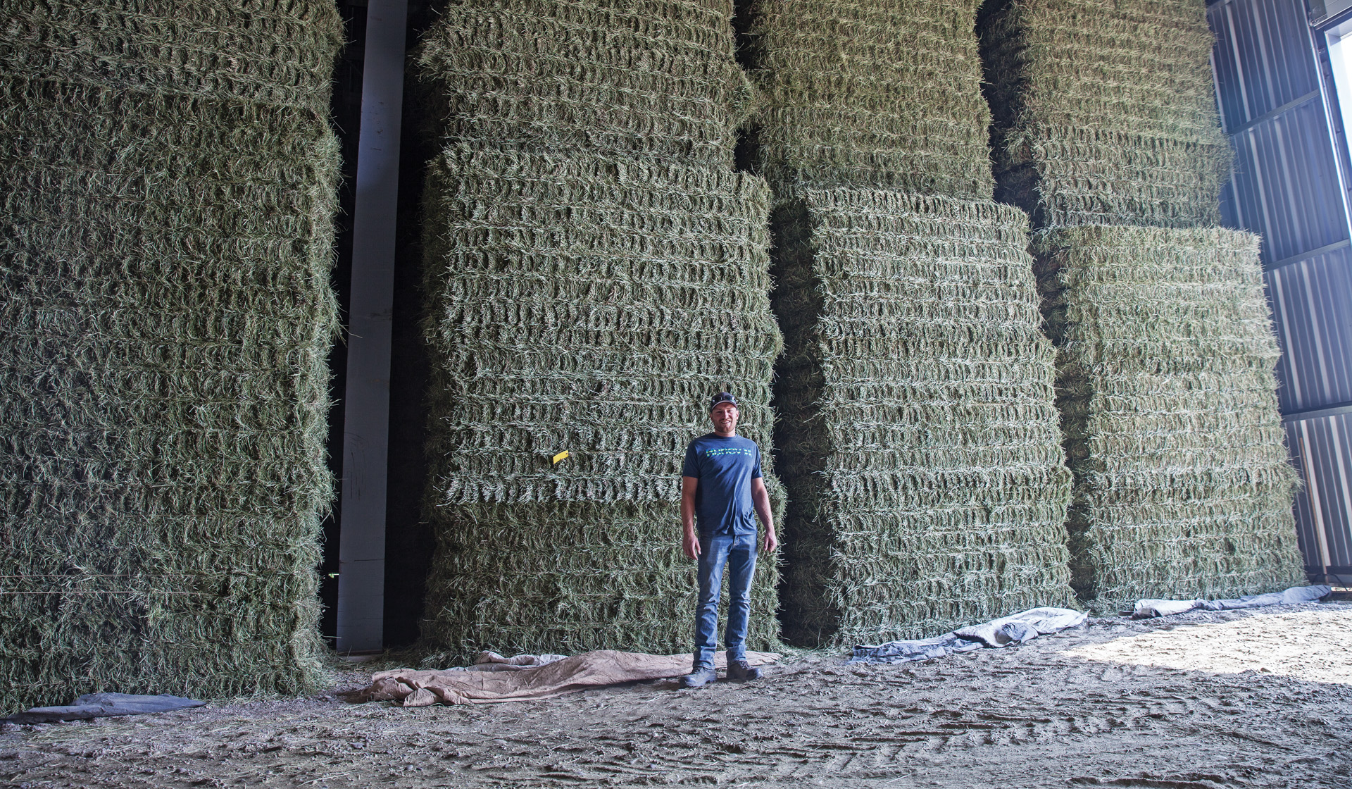 De Kok Forages