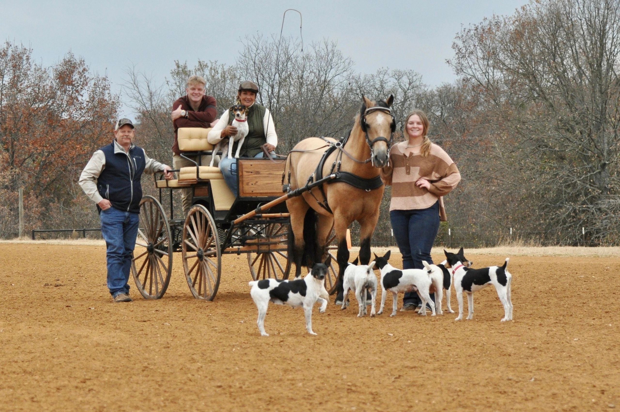 Johnson Performance Horses