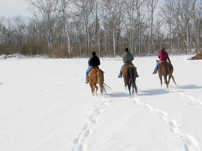 Royal Creek Farm