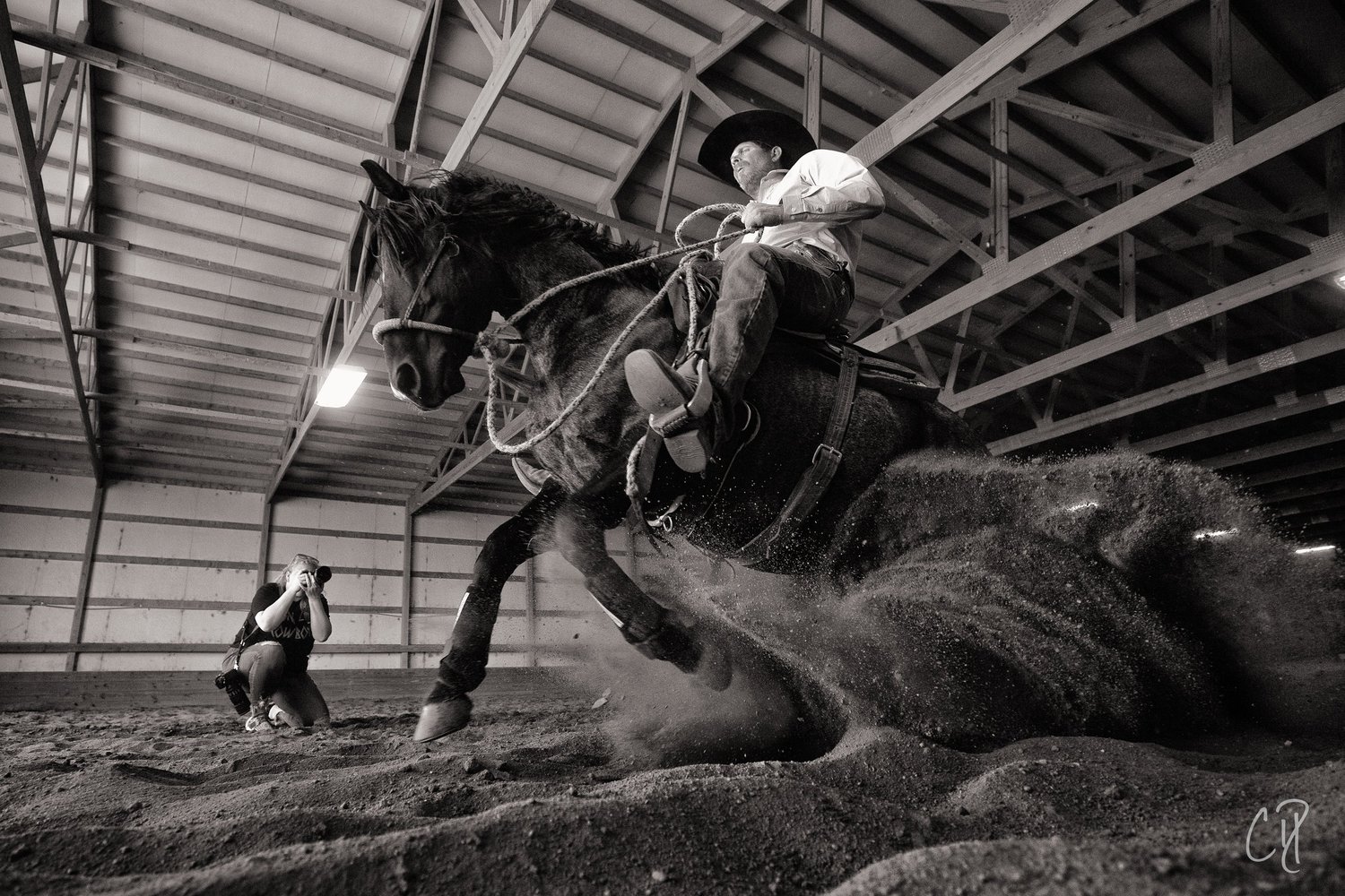 Perry Quarter Horses