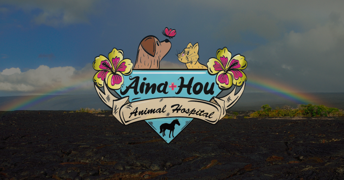Aina Hou Animal Hospital
