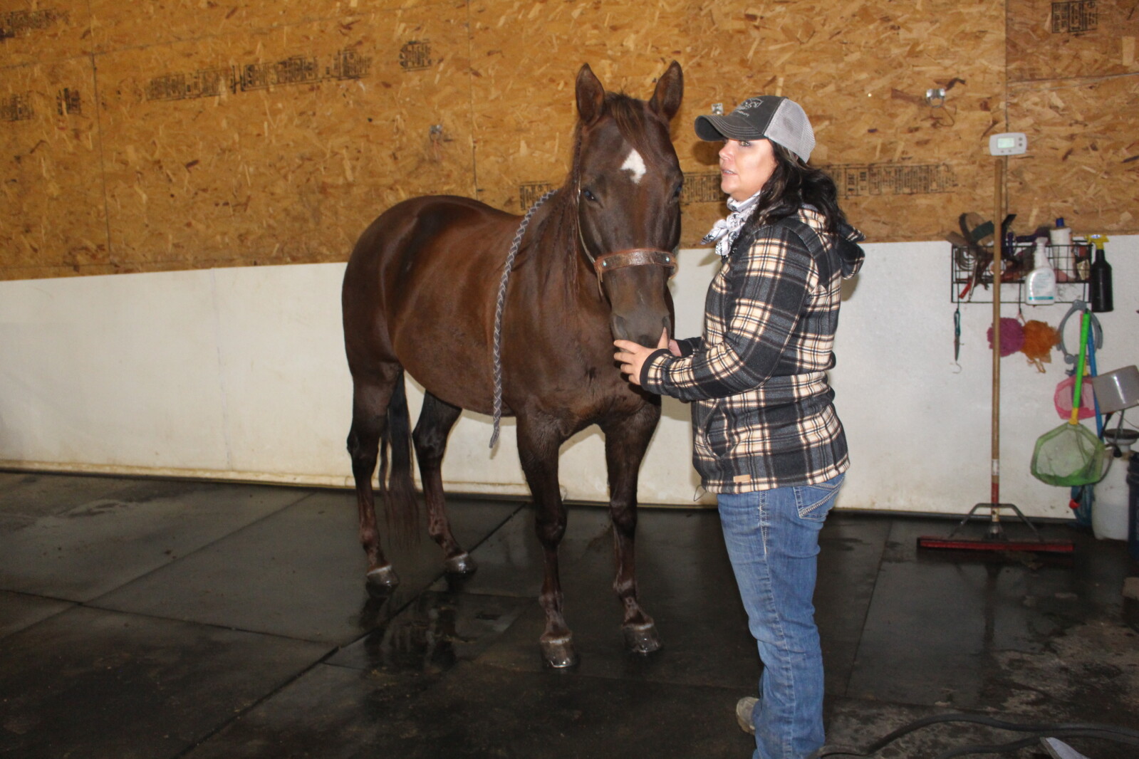 Hande Equine Therapy