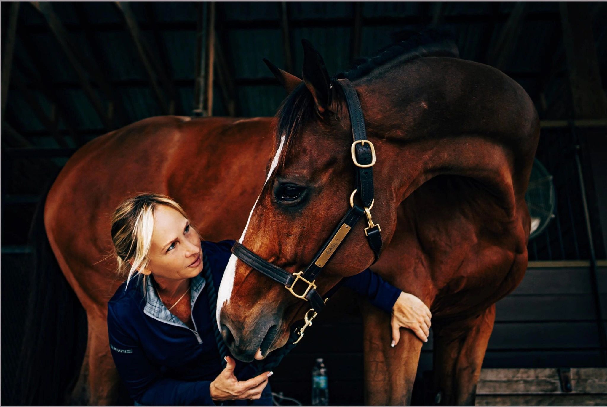 Precision Saddlery