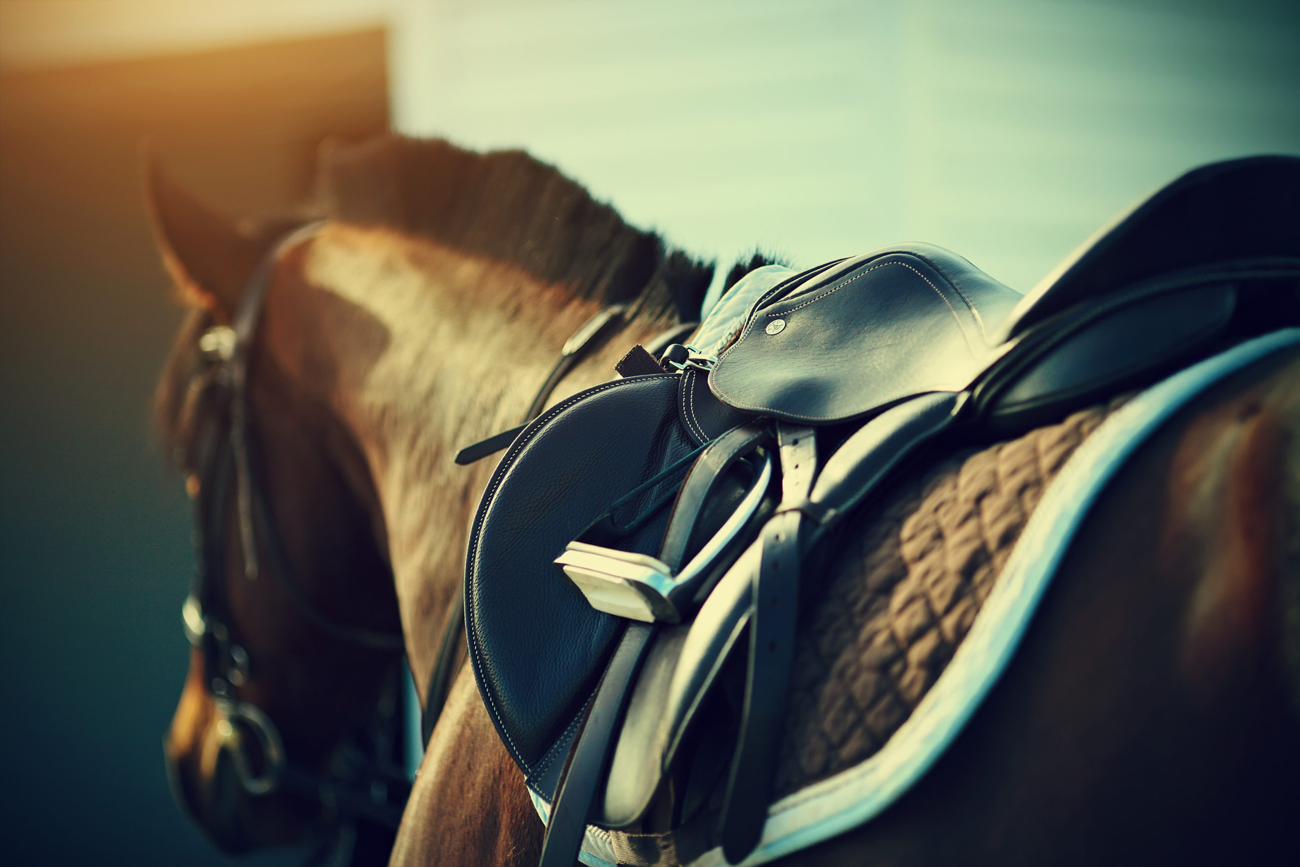 Prescott Animal Hospital & Equine Center