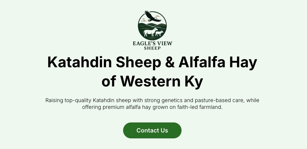 Eagles View Sheep Farm