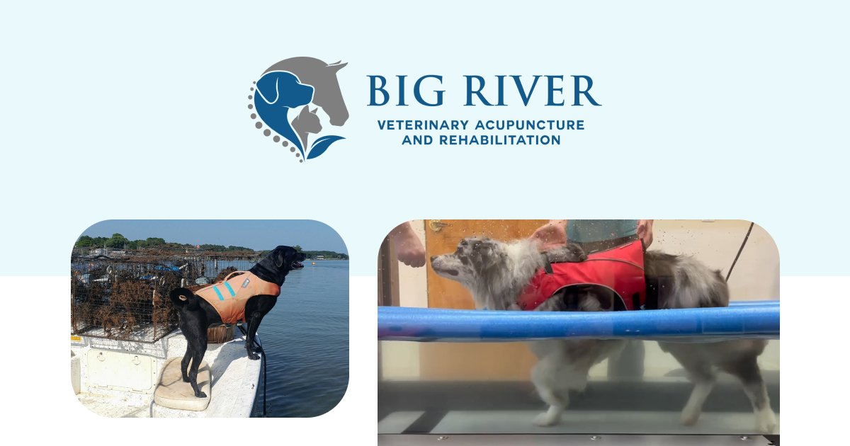 Big River Veterinary Acupuncture and Rehabilitation