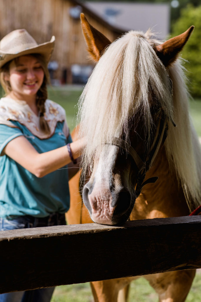 Leatherwood Mountains Stables