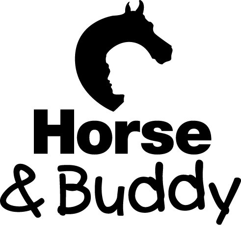 Horse and Buddy Therapeutic Horseback Riding
