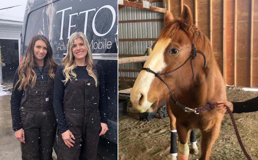 Teton Equine Mobile Veterinary Practice
