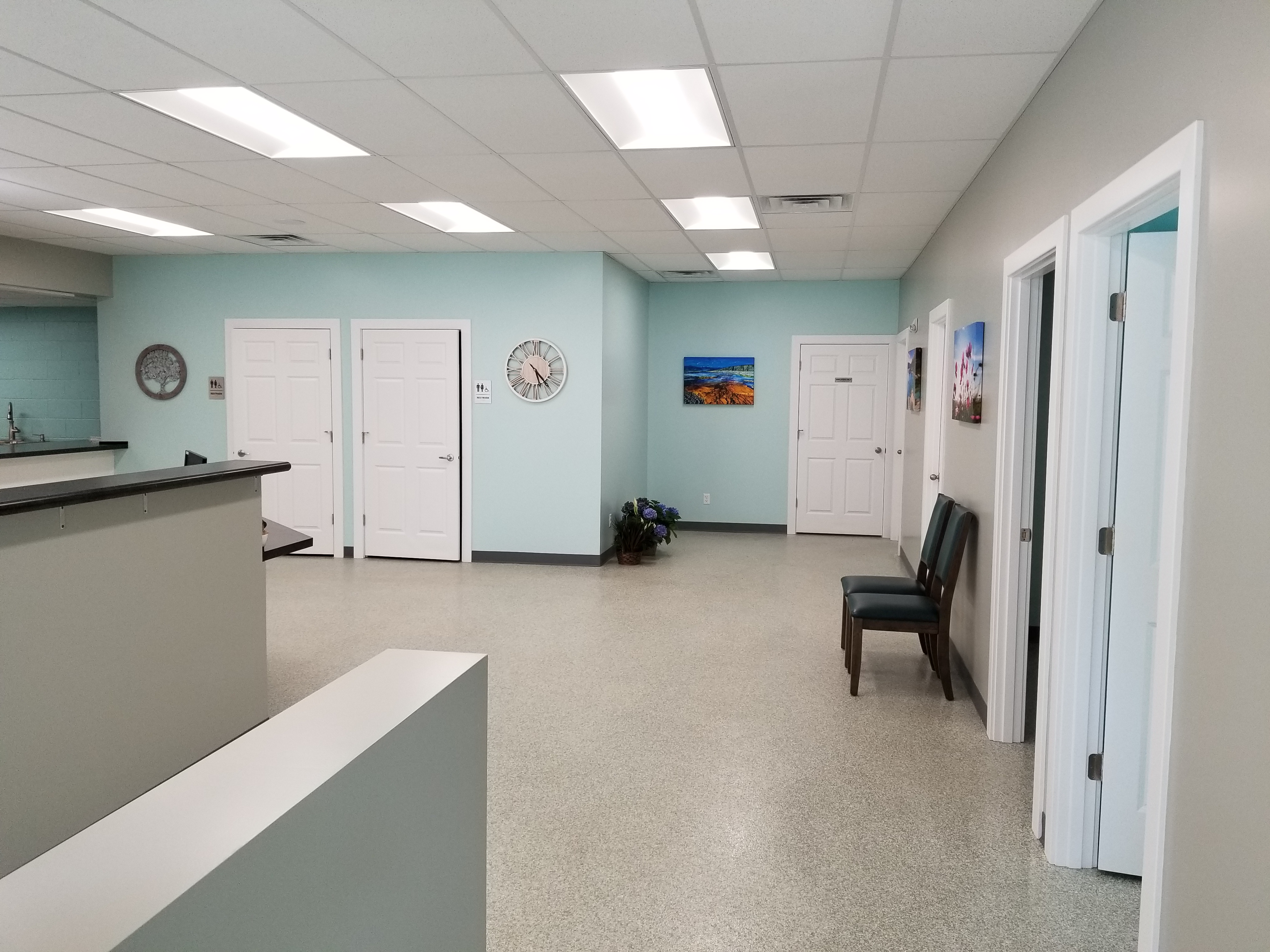 Renewed Animal Wellness