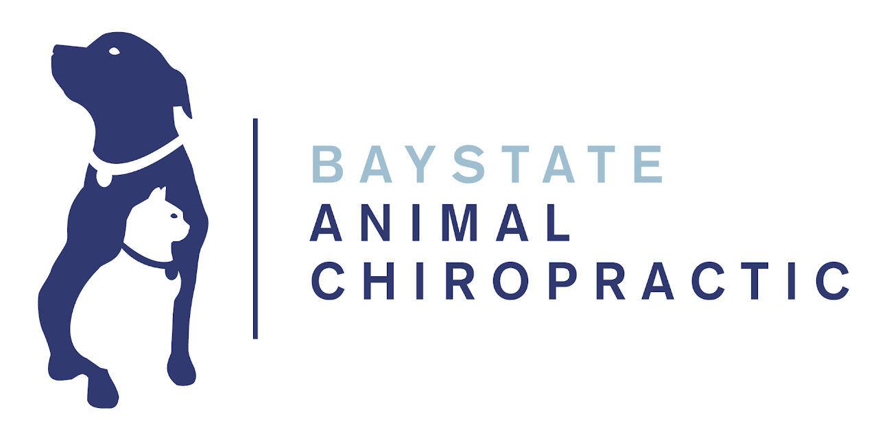 Baystate Animal Chiropractic