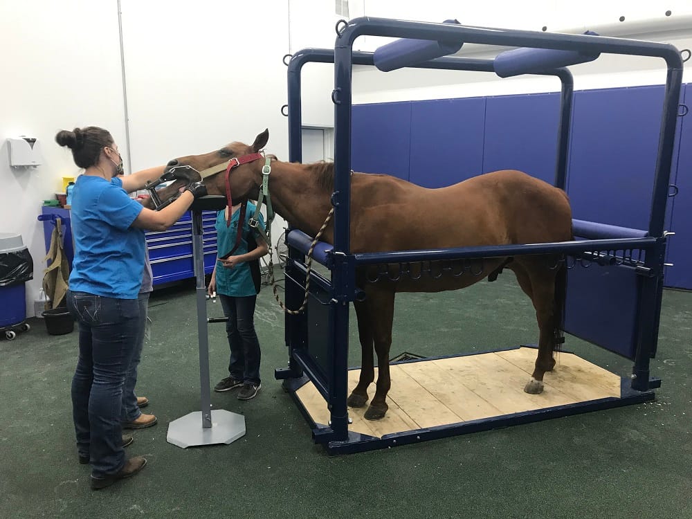 Humboldt Veterinary Clinic
