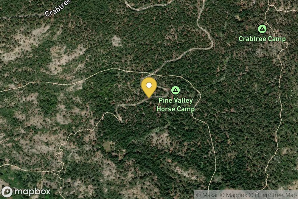 Pine Valley Horse Camp