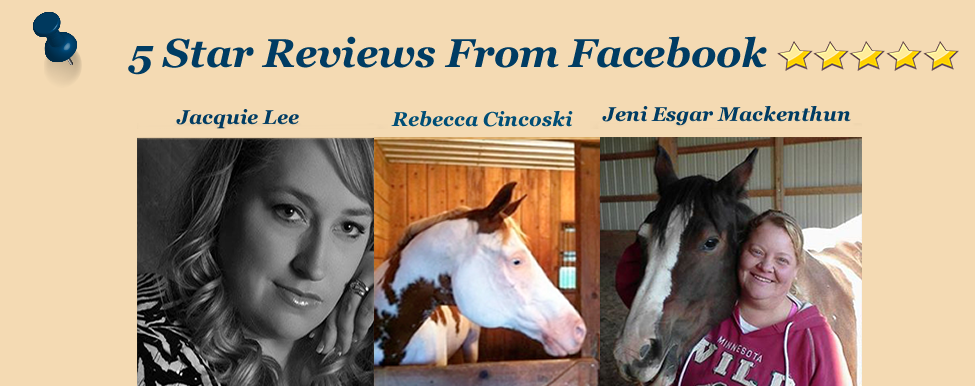 Armstrong Equine Massage
