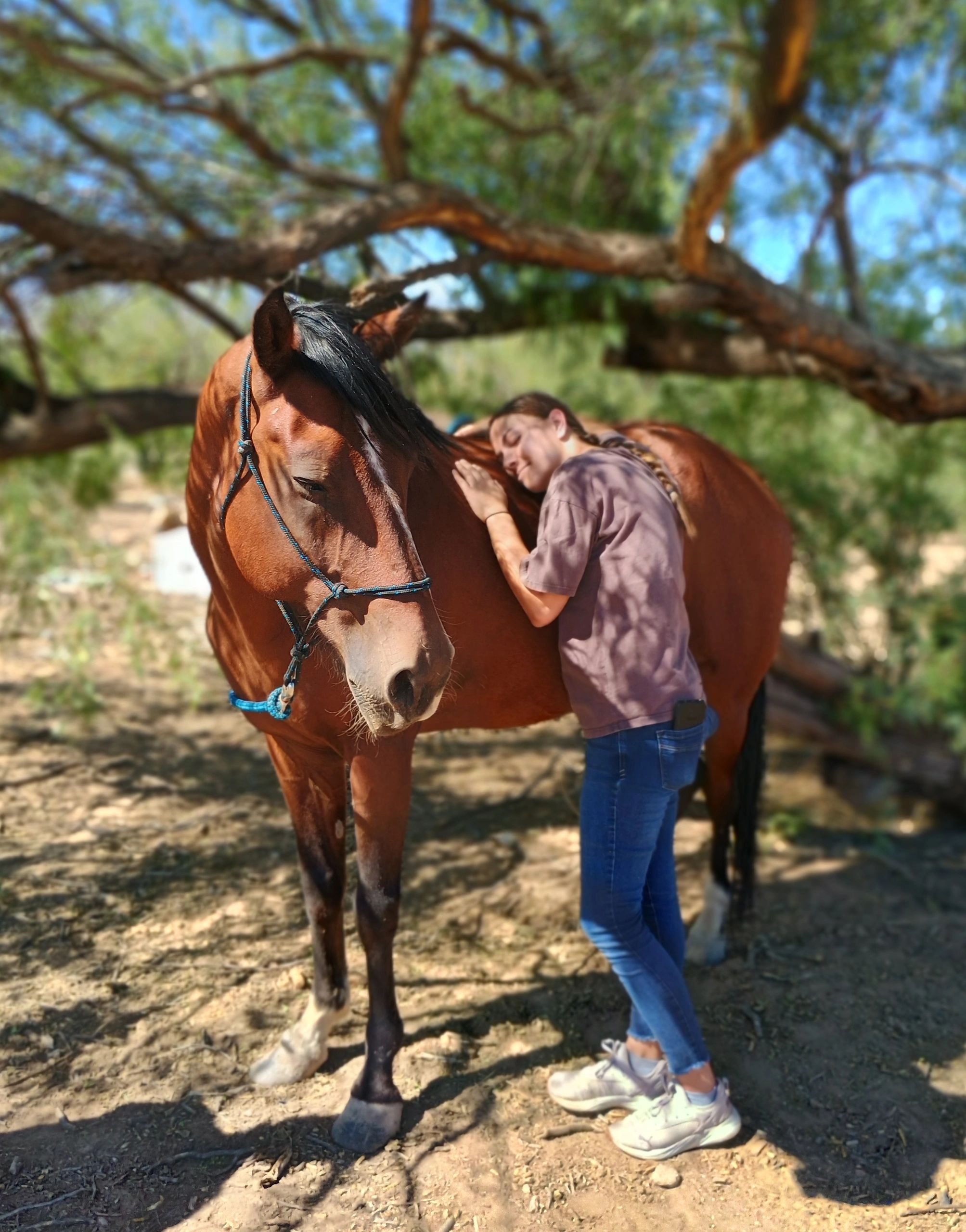 Wild Horse Haven Rescue