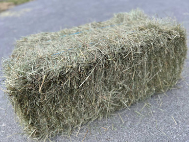 KBC Horses Supplies