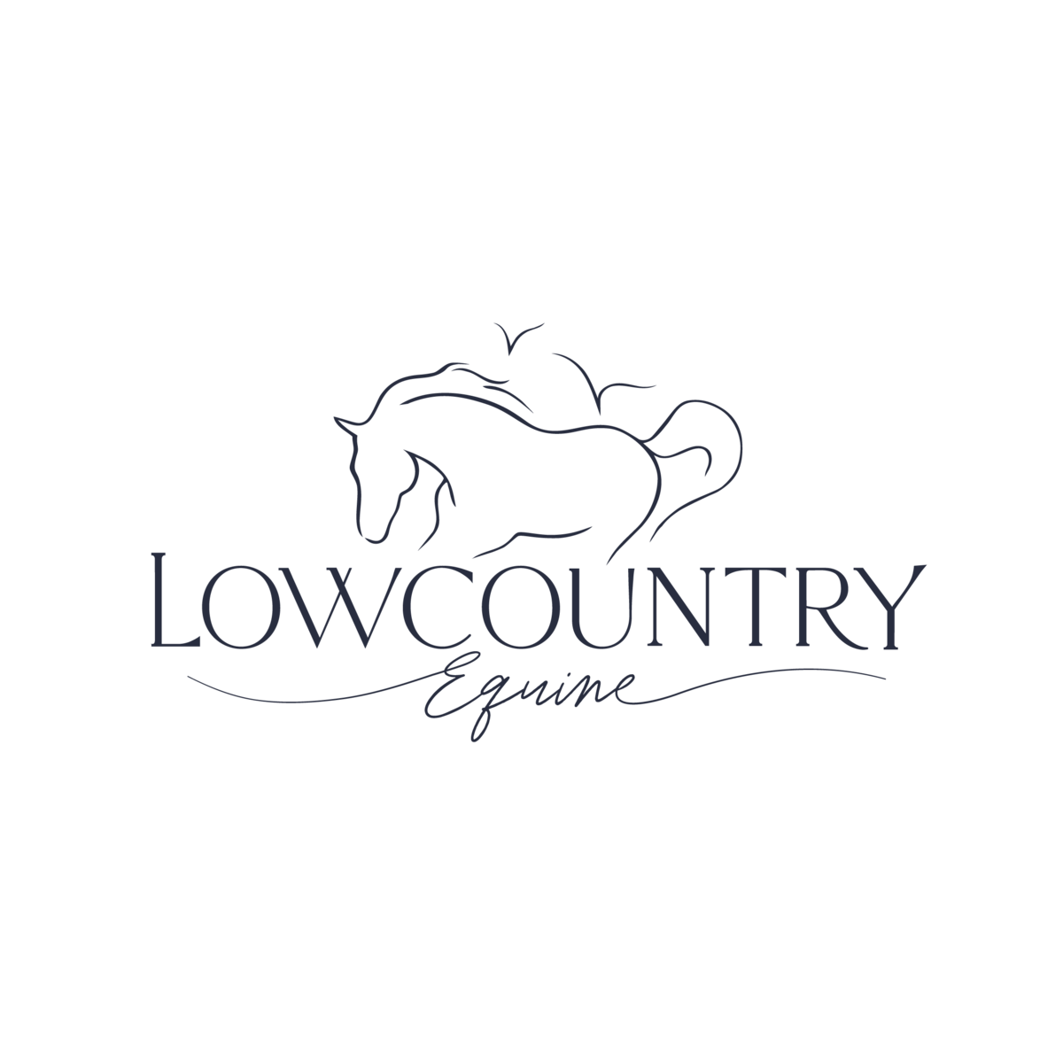 Lowcountry Equine