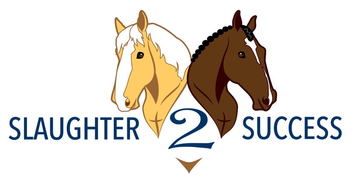 Slaughter 2 Success Equine Rescue
