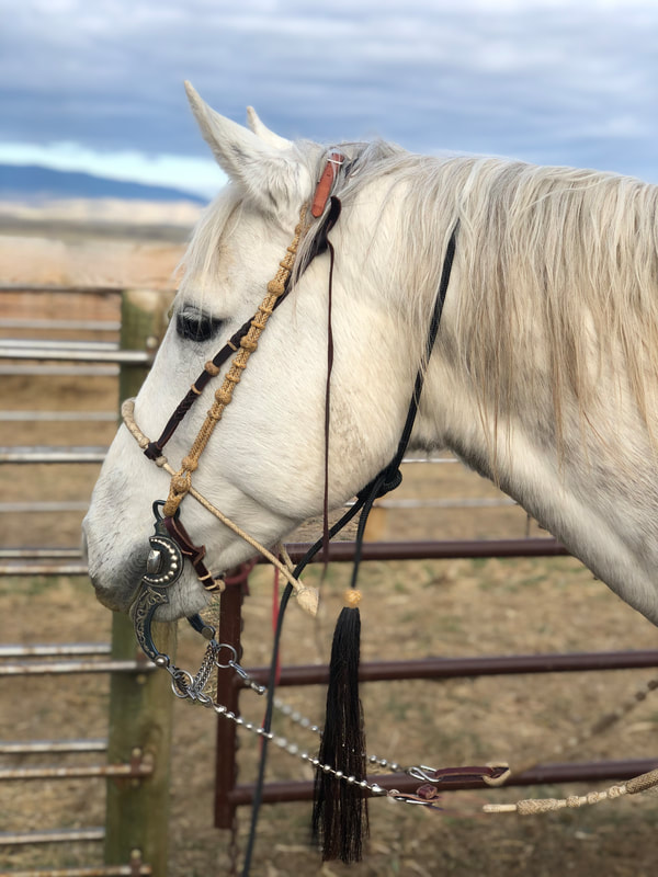 Big Sky Large Animal Veterinary Co.