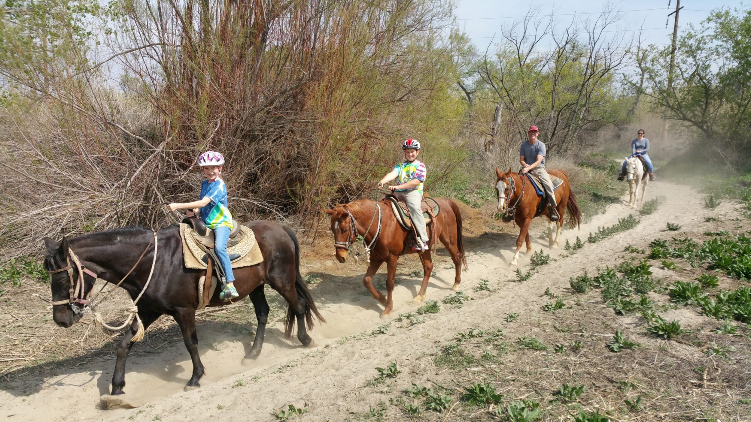 Sunshine and Daydreams Horseback Riding