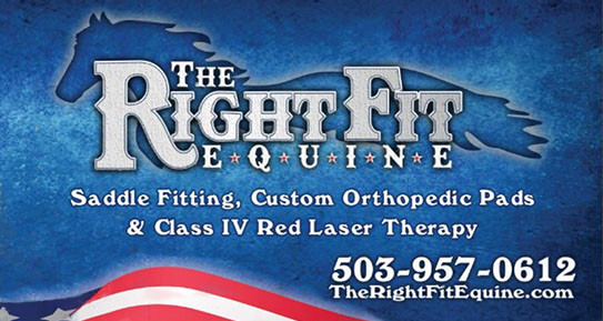 The Right Fit Equine Company