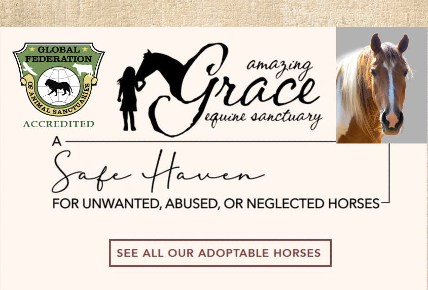 Amazing Grace Equine Sanctuary