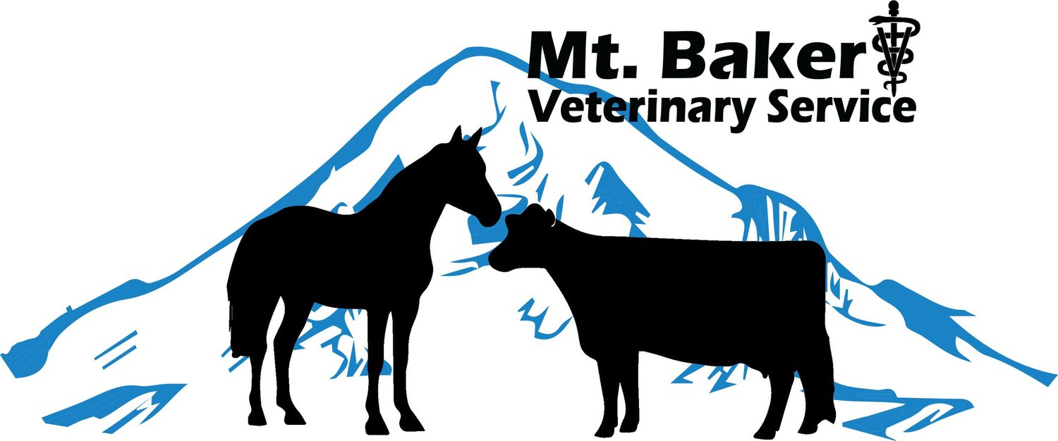 Mt. Baker Veterinary
