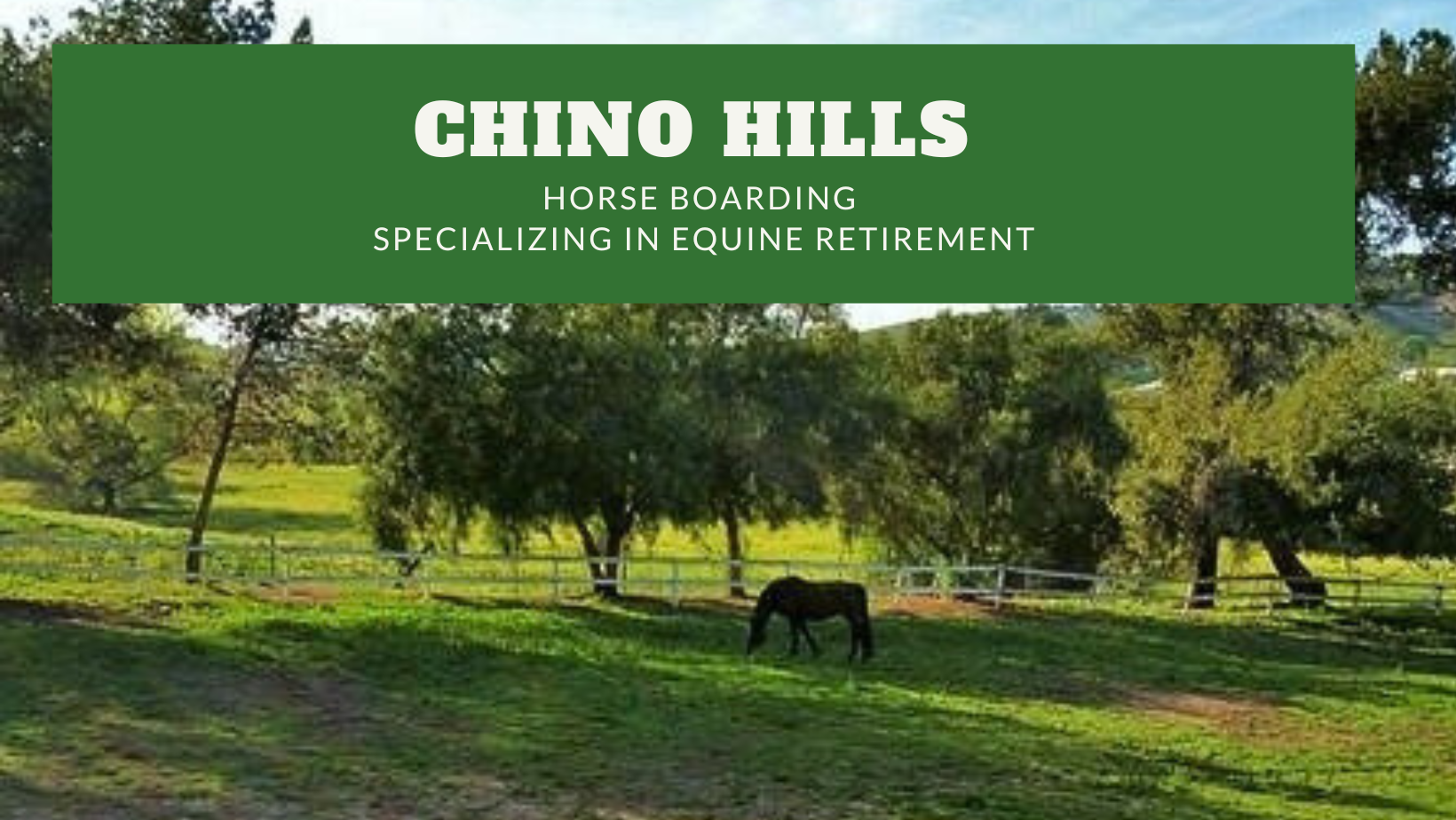 Chino Hills Horse Boarding