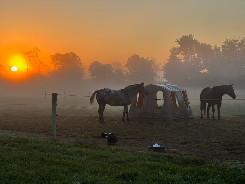 Equine Assisted Therapy of NJ