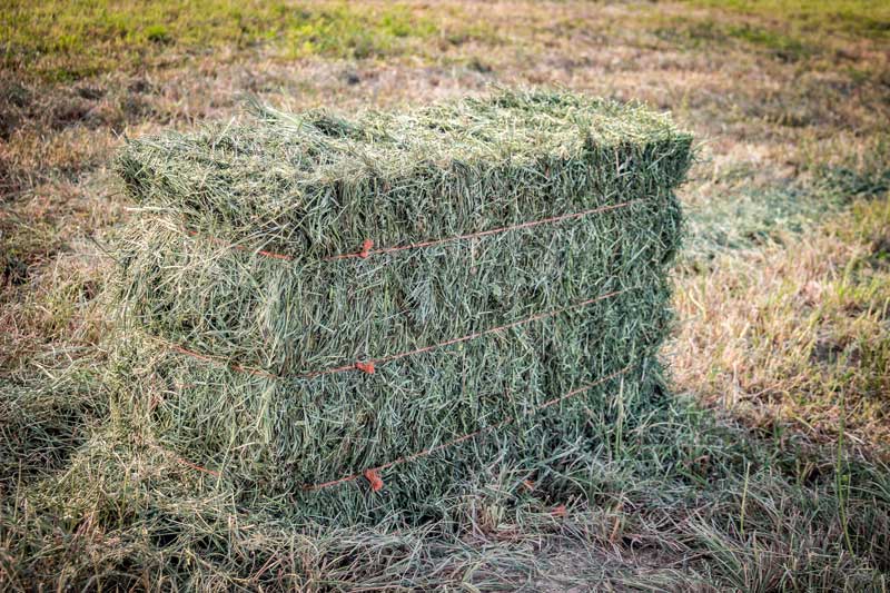Ritter Farm, LLC