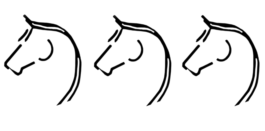 Las Vegas Riding Instruction