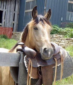 Kentucky Foothills Therapeutic Horsemanship Center