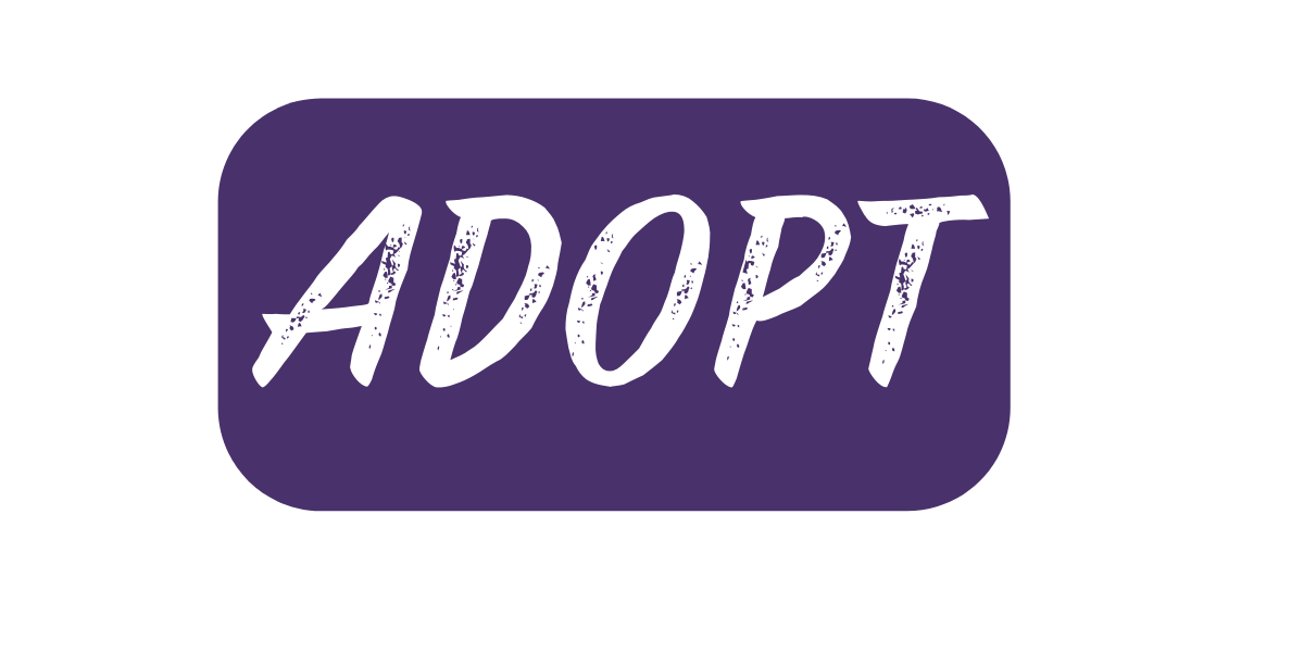 Equine Rescue and Adoption Foundation
