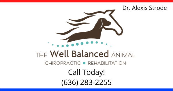 The Well Balanced Animal