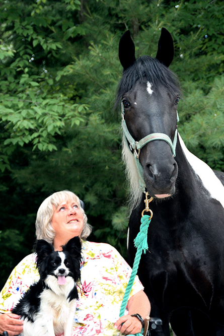 The Carriage Barn Therapeutic Riding Center