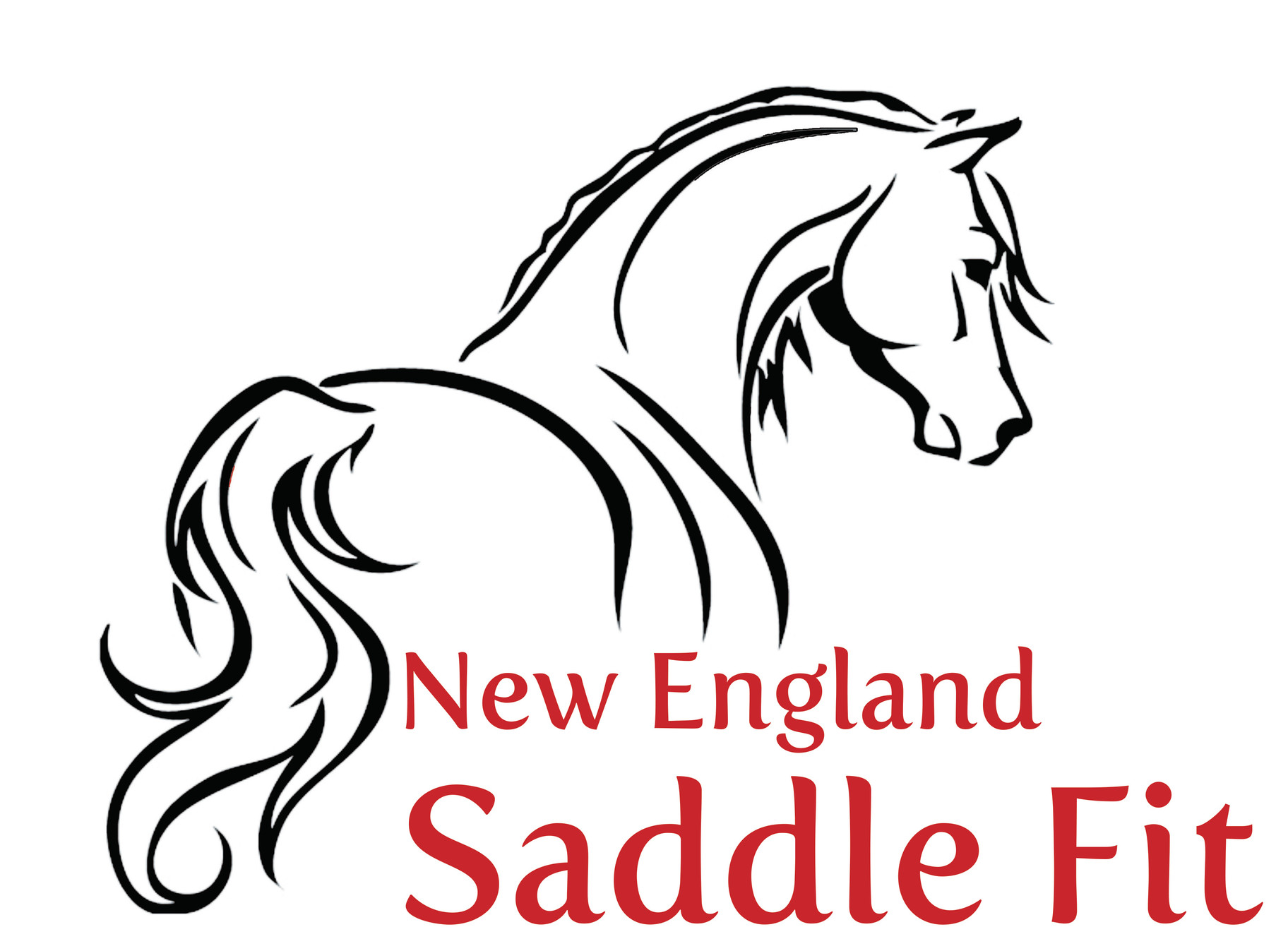 New England Saddle Fit