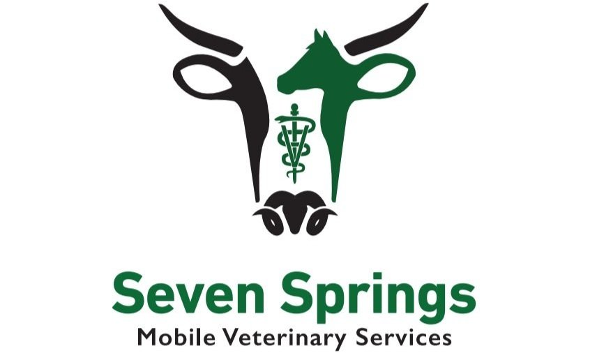 Seven Springs Vet