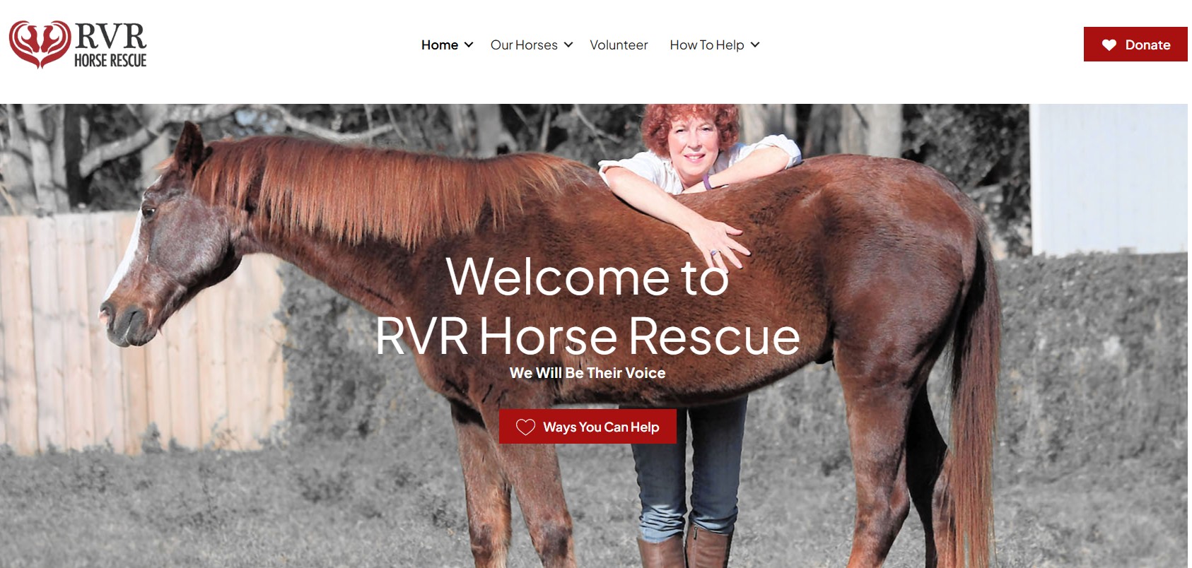 RVR Horse Rescue