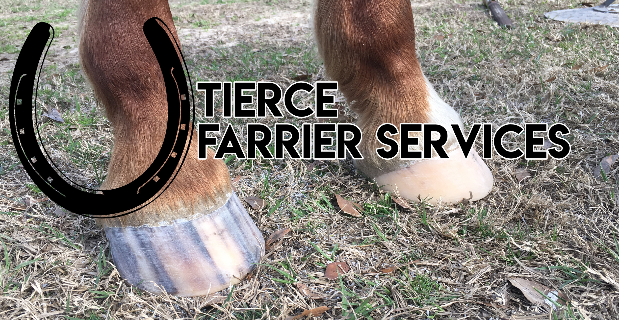 Tierce Farrier Services
