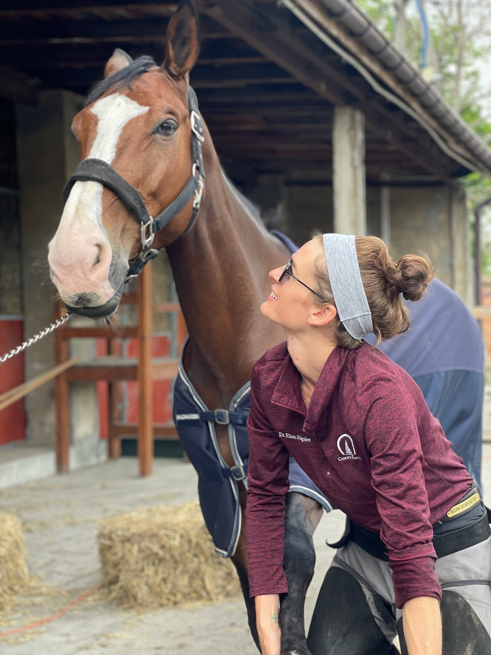 Canopy Equine and Podiatry