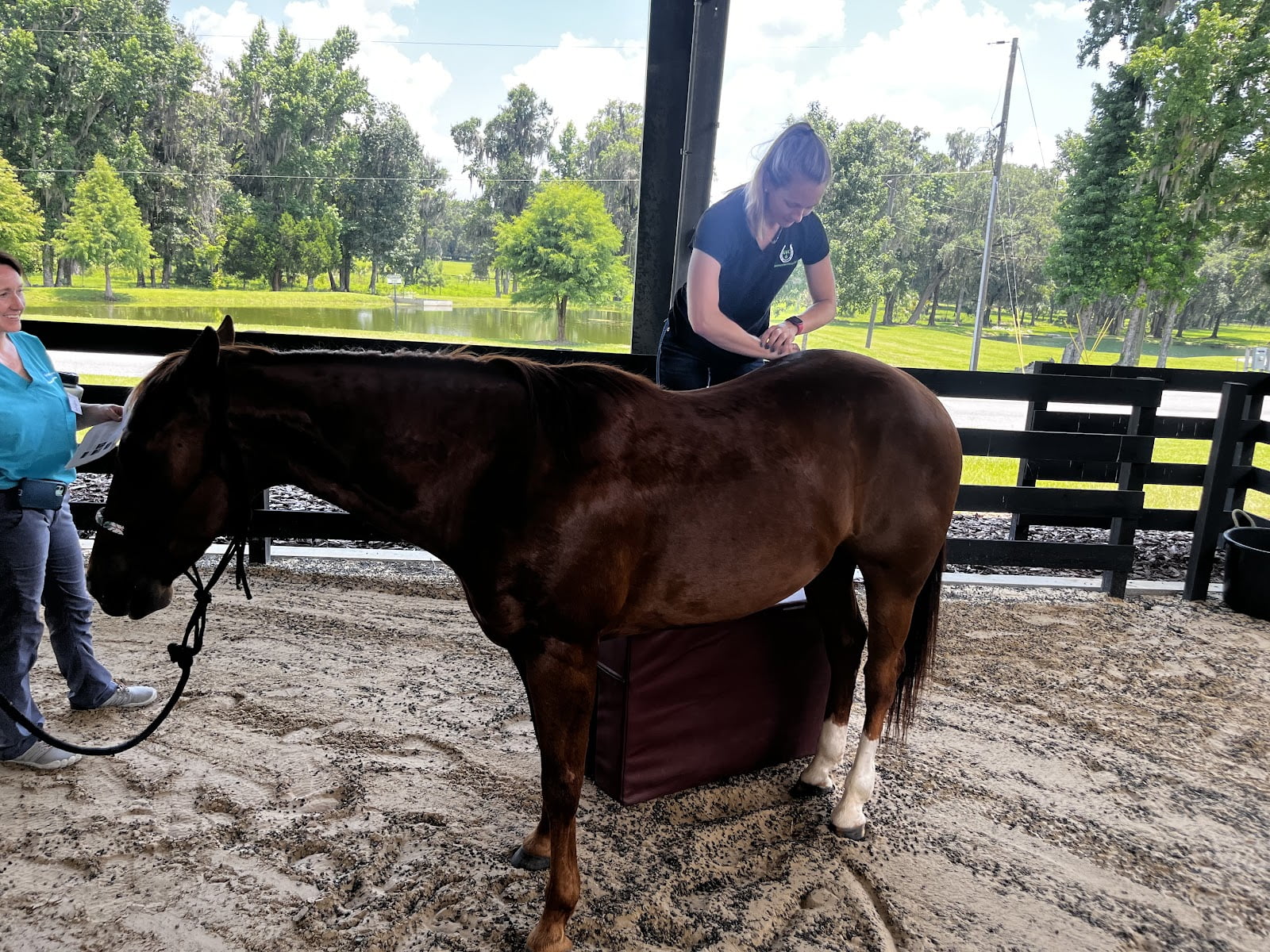 Glenwood Veterinary Clinic