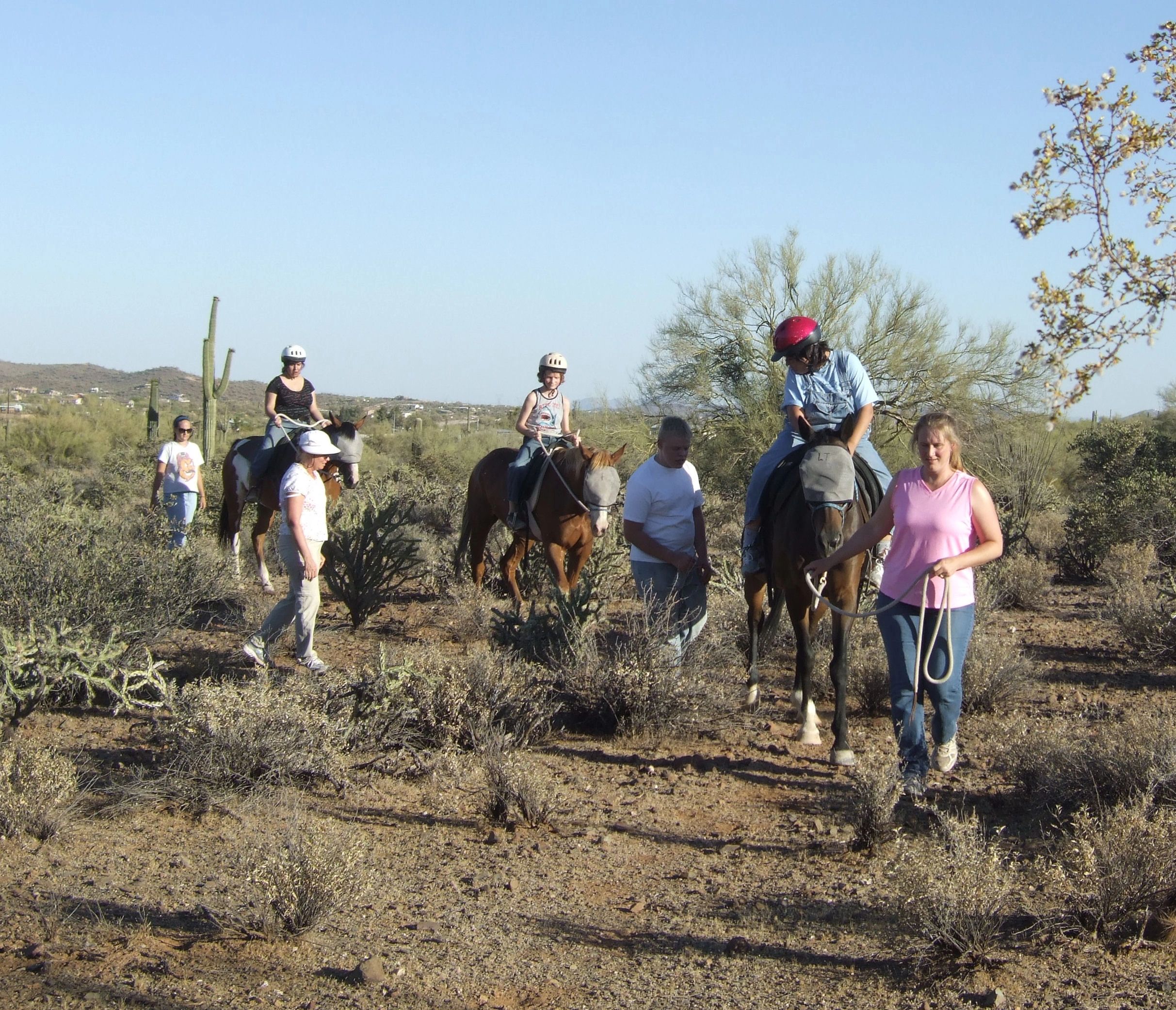 Stable Influence Charity Programs