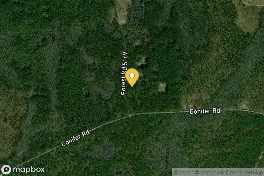 Francis Marion National Forest