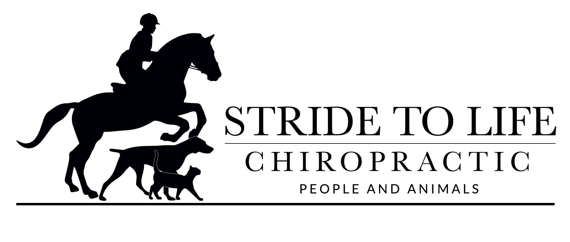 Stride to Life Chiropractic