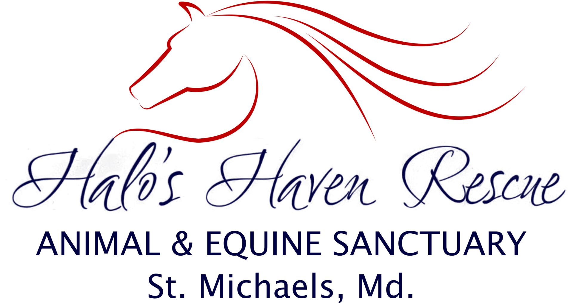 Halo's Haven Horse Rescue Farm