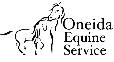 Oneida Veterinary & Associates, PLLC