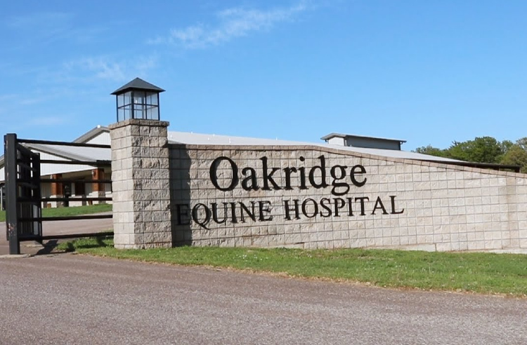 Oakridge Equine Hospital