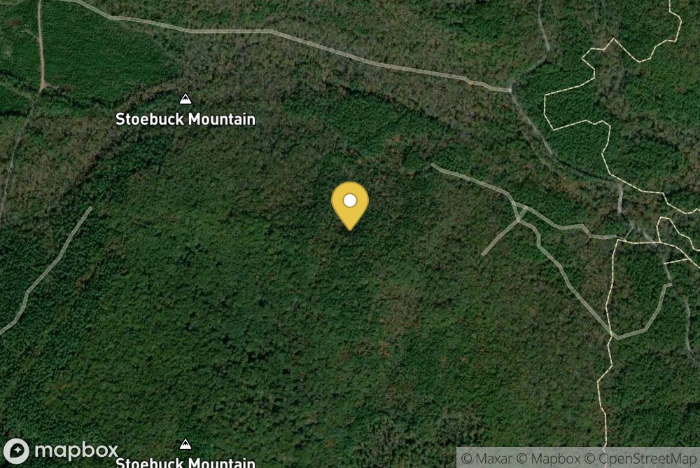 Zing Trailhead